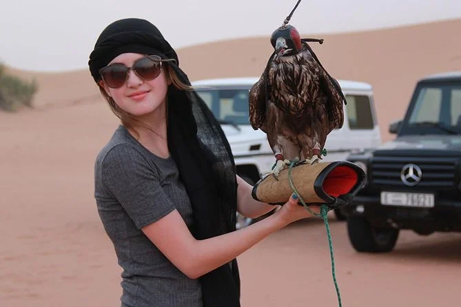 Quad bike and VIP safari